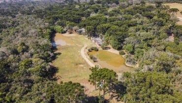 parque Pinhal do Santana