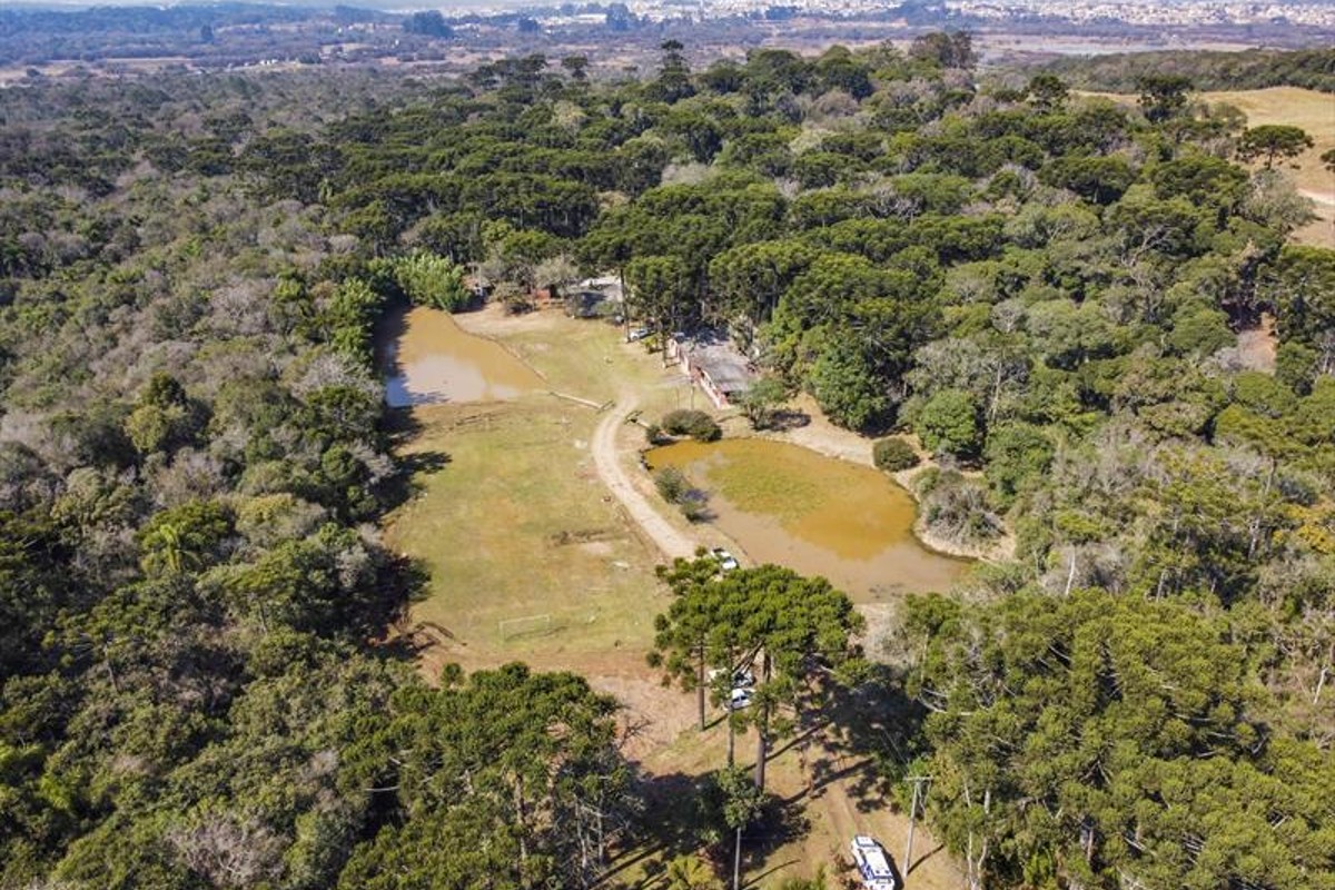 parque Pinhal do Santana