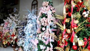 Imagem mostra árvores com azul escuro e rosa, que estão ganhando destaque na preferência do consumidor