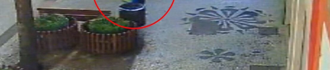 jornalista agressão