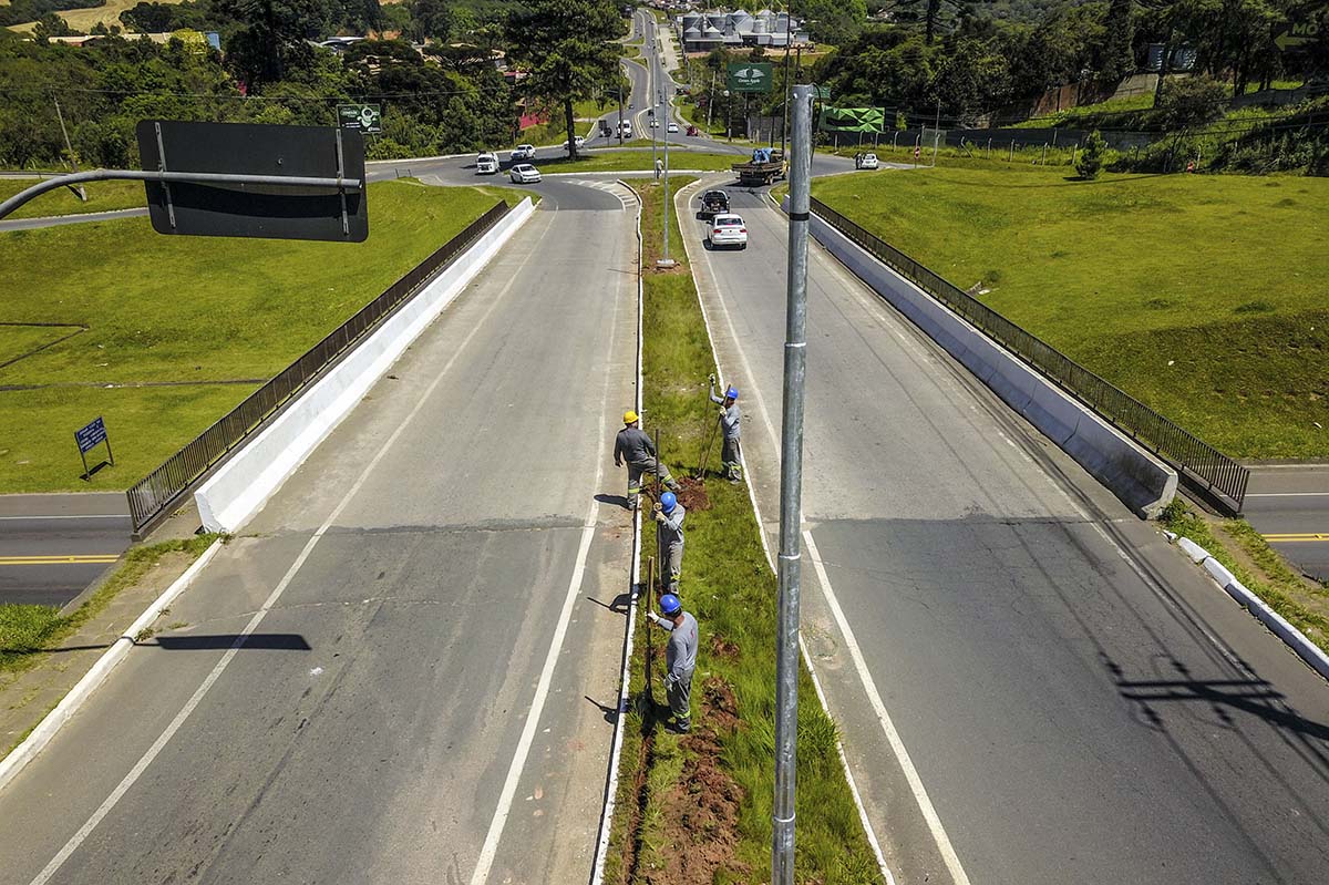 viaduto santa felicidade