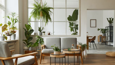 Decorar ambientes internos com plantas traz muito mais vida e beleza à sua casa | Foto: Shutterstock