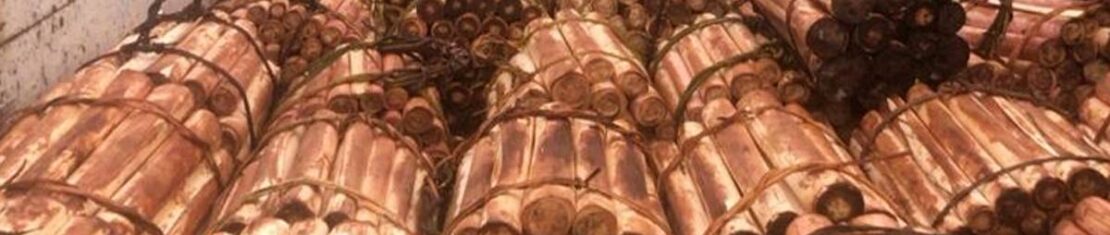 Rotam da Polícia Ambiental flagrou carregamento de palmito ilegal em Morretes, no litoral do Paraná