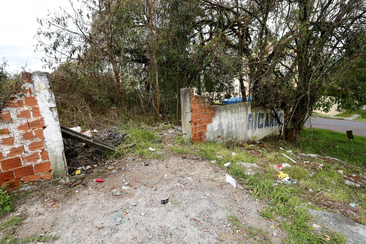 Imagem mostra um terreno baldio em Curitiba que é só dor de cabeça pra vizinhança