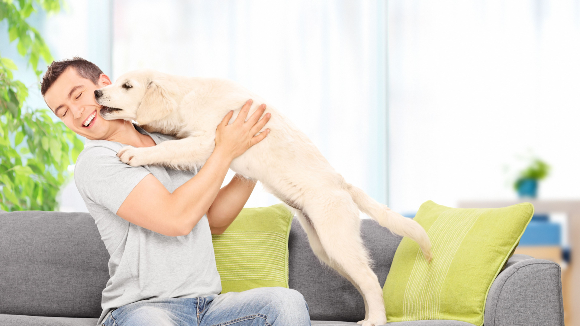 Morar em apartamento não é impedimento para cuidar de cachorros. | Foto: Shutterstock