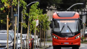 Imagem mostra um biarticulado de Curitiba passando pelo quinto corredor verde da capital