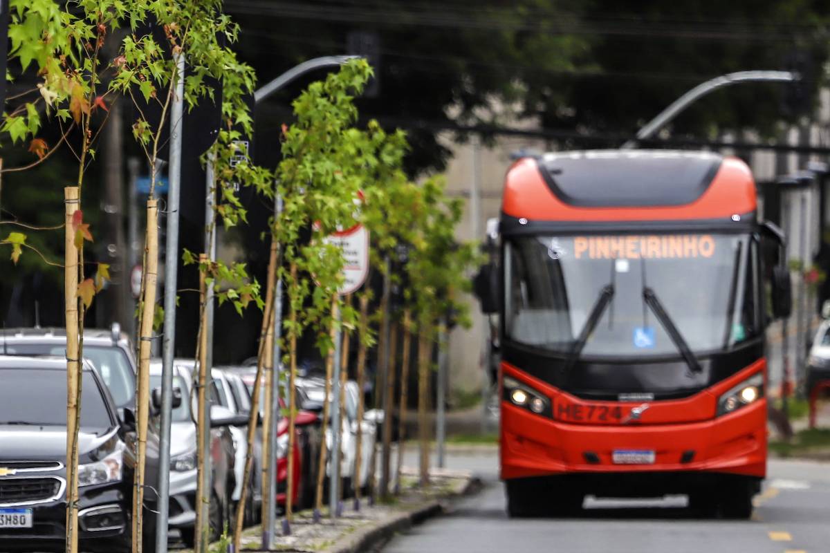 Imagem mostra um biarticulado de Curitiba passando pelo quinto corredor verde da capital