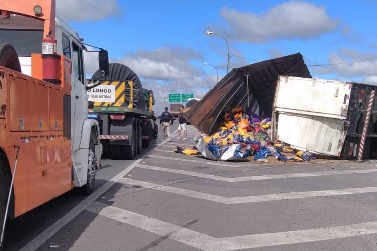 Imagem mostra caminhão com ração que tombou na pista do Contorno Norte.
