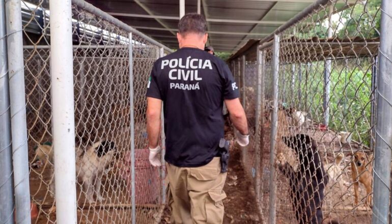 um policial civil do Paraná passa entre os corredores de uma casa que tinha 300 cães presos em situação insalubre