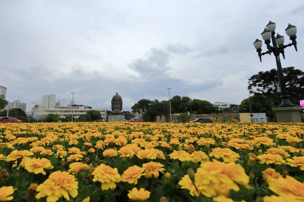 flores em Curitiba com o céu fechado ao fundo anunciando a chegada de temporal