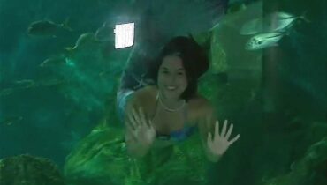 Sereia de Paranagua recebe visitas no aquário de paranagua