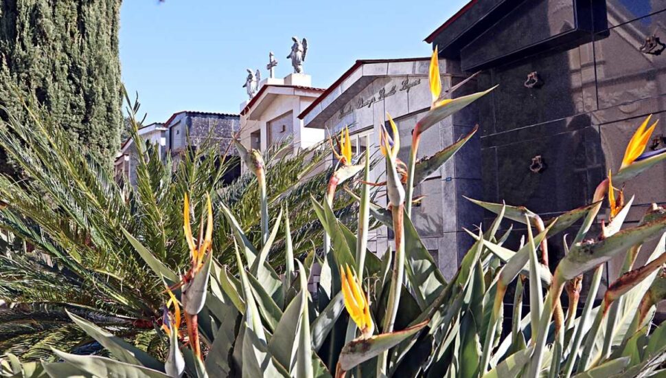 túmulos em cemitério de Curitiba