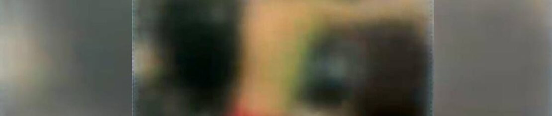 briga no sungaço no litoral do Paraná