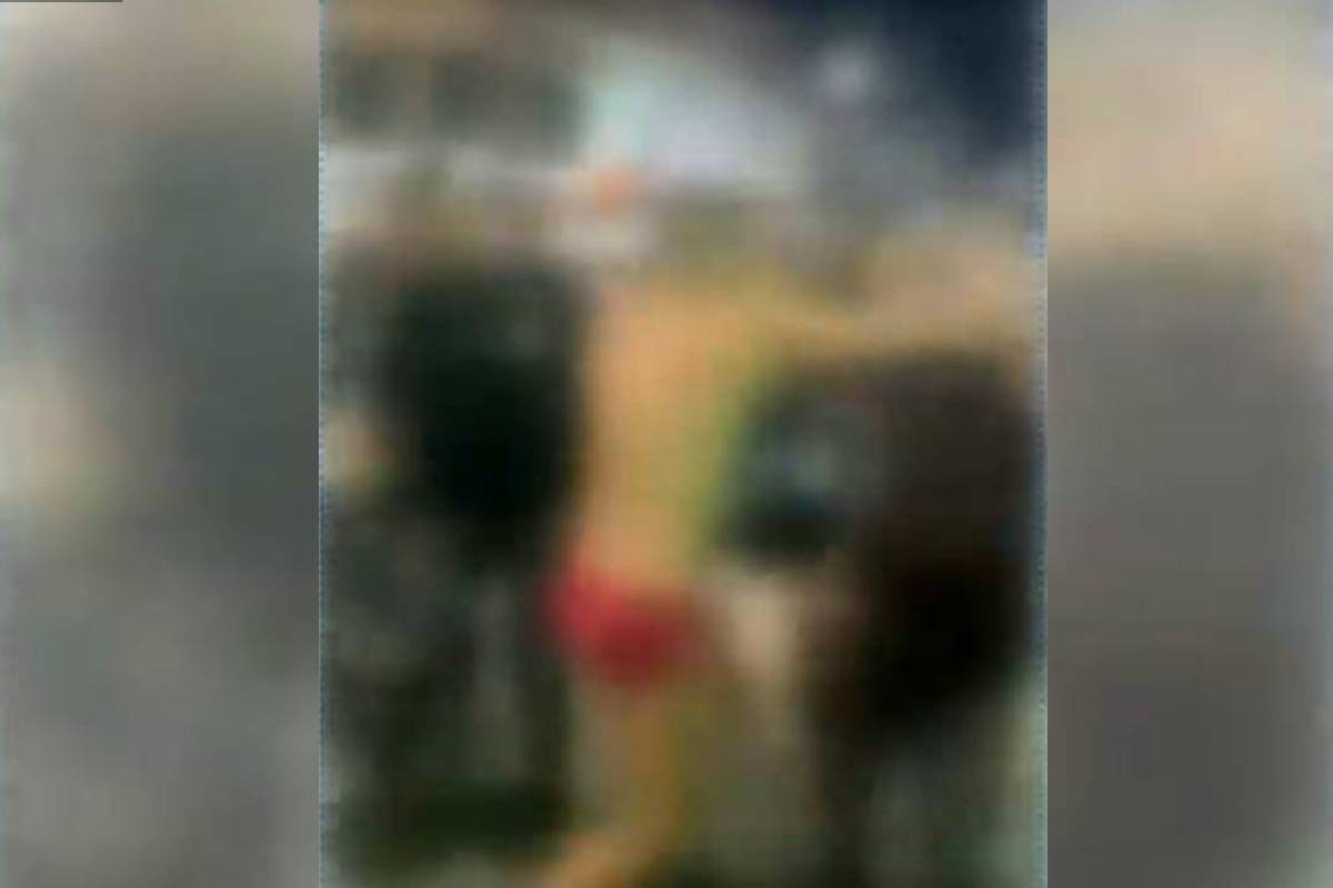 briga no sungaço no litoral do Paraná