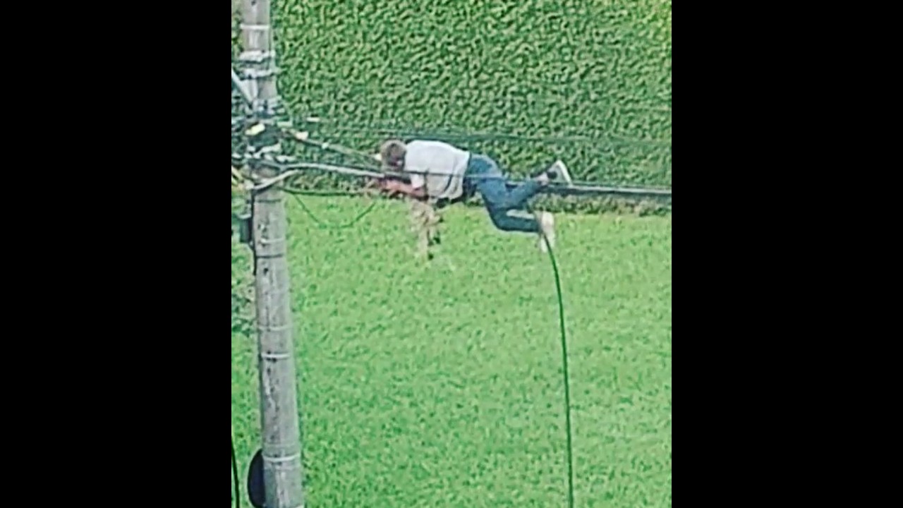 homem aranha furta cabos