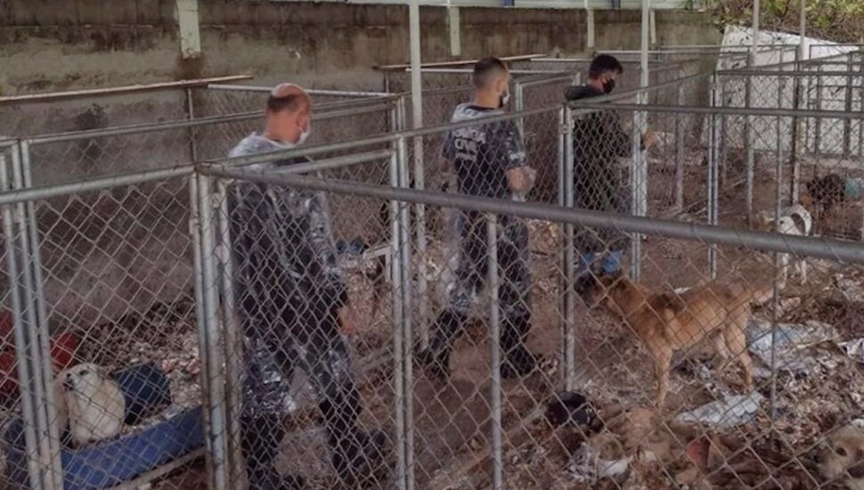 acumuladora curitiba