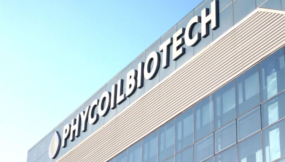 Empresa da Coreia do Sul vem para o Paraná