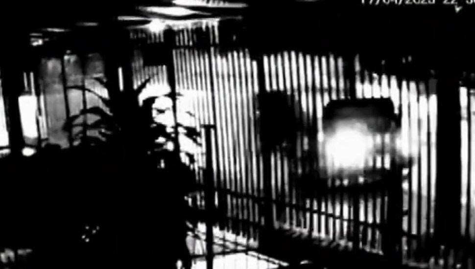 acidente fanny video