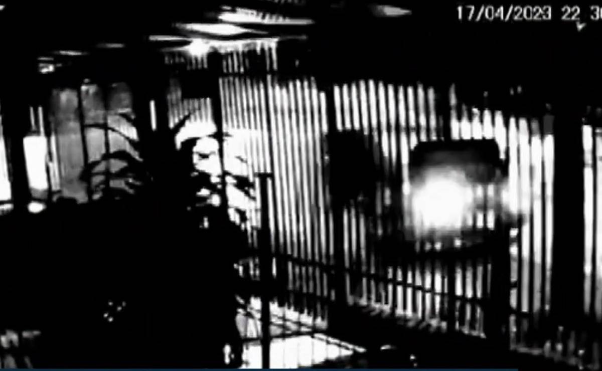 acidente fanny video