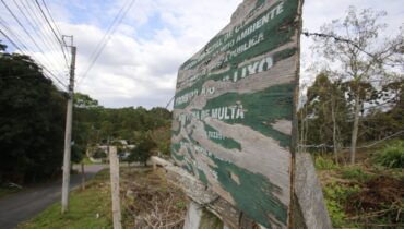 terreno baldio curitiba