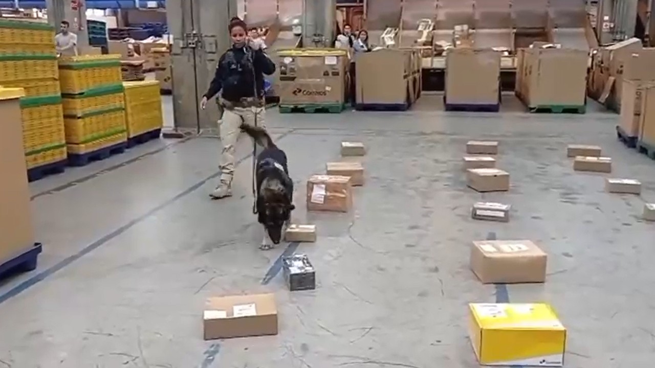 drogas encomendas correios