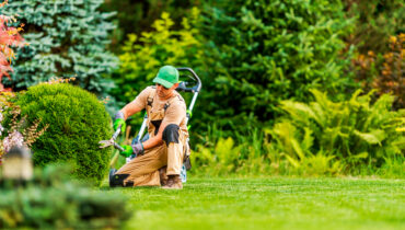 Se você deseja crescer na jardinagem, ter um kit de ferramentas completo faz toda a diferença. | Foto: Shutterstock