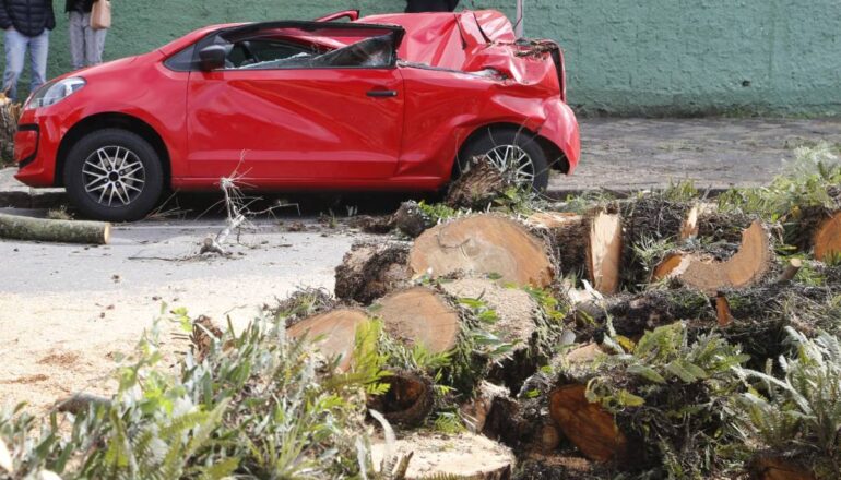Imagem mostra um carro completamente destruído após ser atingido por uma árvore que caiu após o vendaval causado pelo ciclone extratropical.