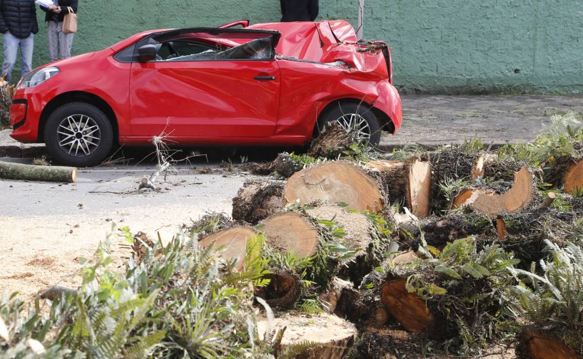 Imagem mostra um carro completamente destruído após ser atingido por uma árvore que caiu após o vendaval causado pelo ciclone extratropical.