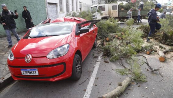 Imagem mostra o carro destruído após ser atingido por uma árvore em Curitiba.