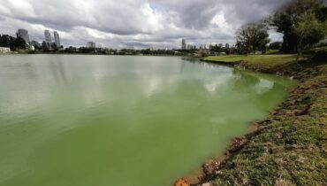 lago verde parque barigui