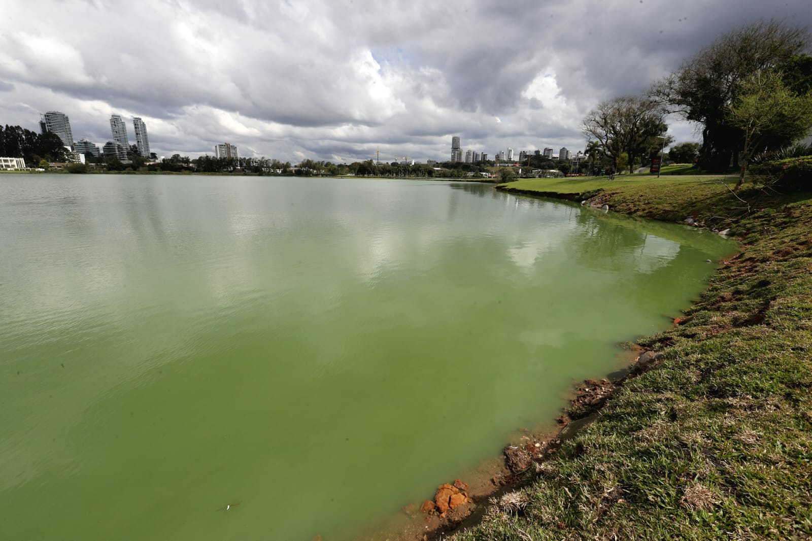 lago verde parque barigui