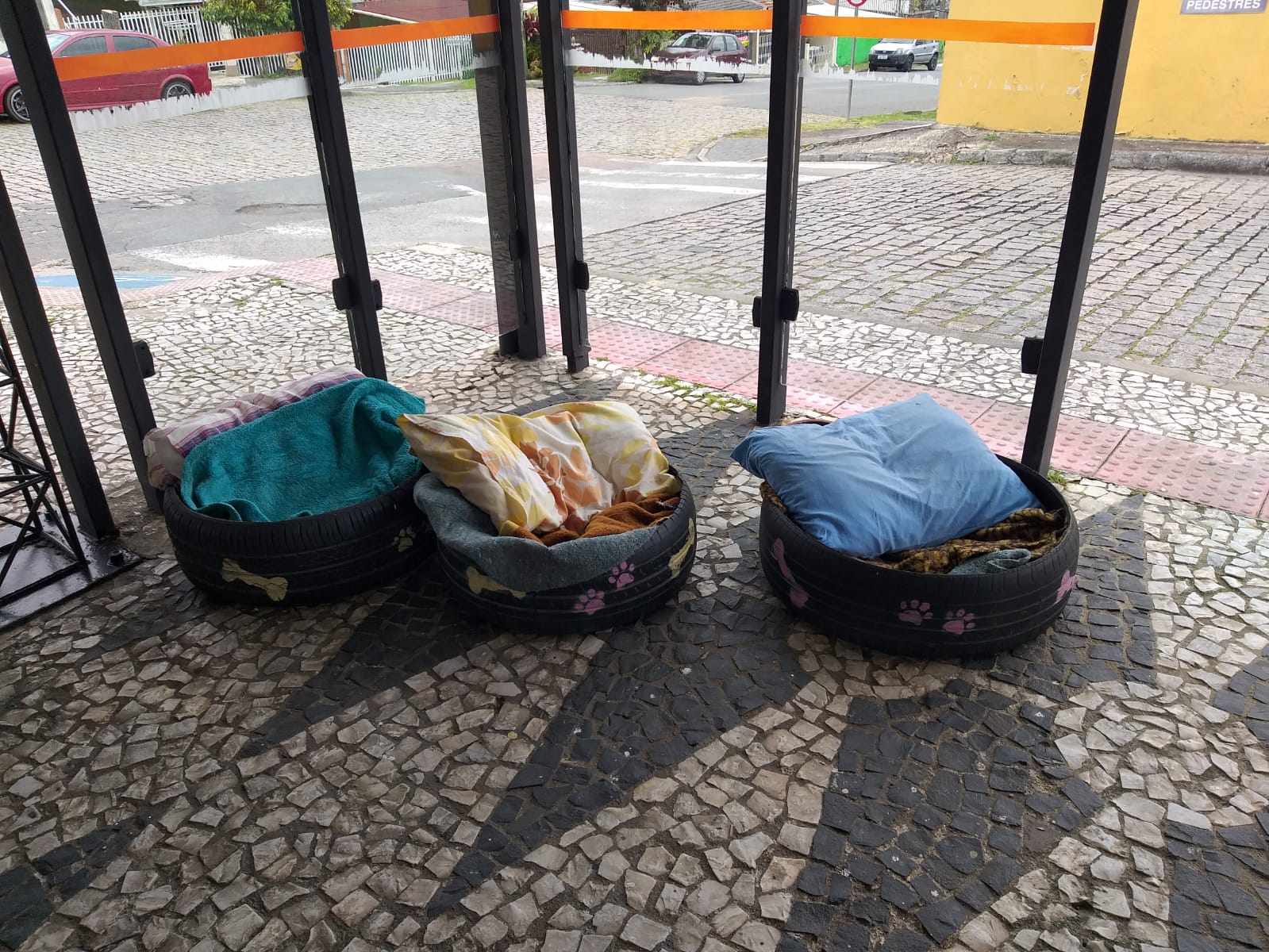 cachorros terminal bairro alto