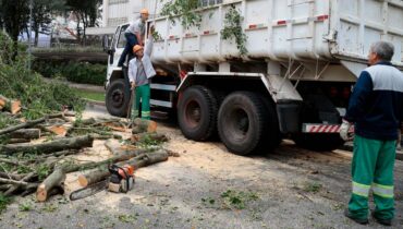 Imagem mostra um caminhão da prefeitura de Curitiba recolhendo galhos de árvores