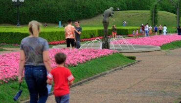 imagem mostra o jardim botânico em Curitiba com flores na primavera.