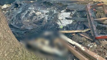 egua carbonizada colombo