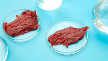 Alimento do futuro: carne celular já é realidade em laboratório no Paraná