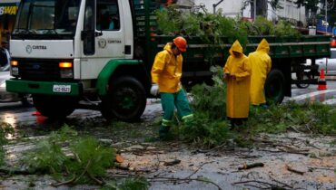 Imagem mostra uma equipe recolhendo árvores que caíram com o temporal. Tem um caminhão e trabalhadores com capas de chuva amarelas.