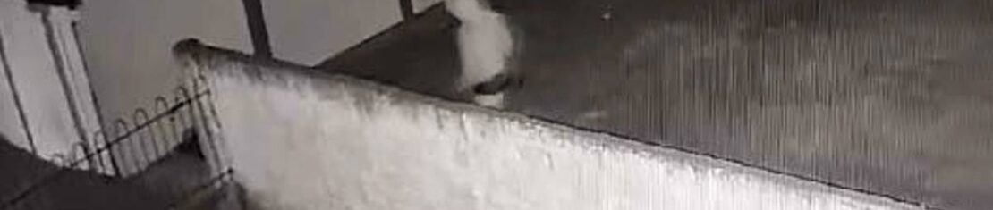 Imagem mostra o homem suspeito de mais de 20 arrombamentos em Cmeis de Curitiba. A imagem é preto e branco e mostra o homem atrás de um muro