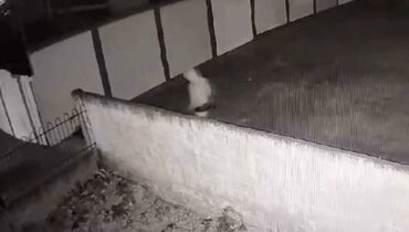 Imagem mostra o homem suspeito de mais de 20 arrombamentos em Cmeis de Curitiba. A imagem é preto e branco e mostra o homem atrás de um muro