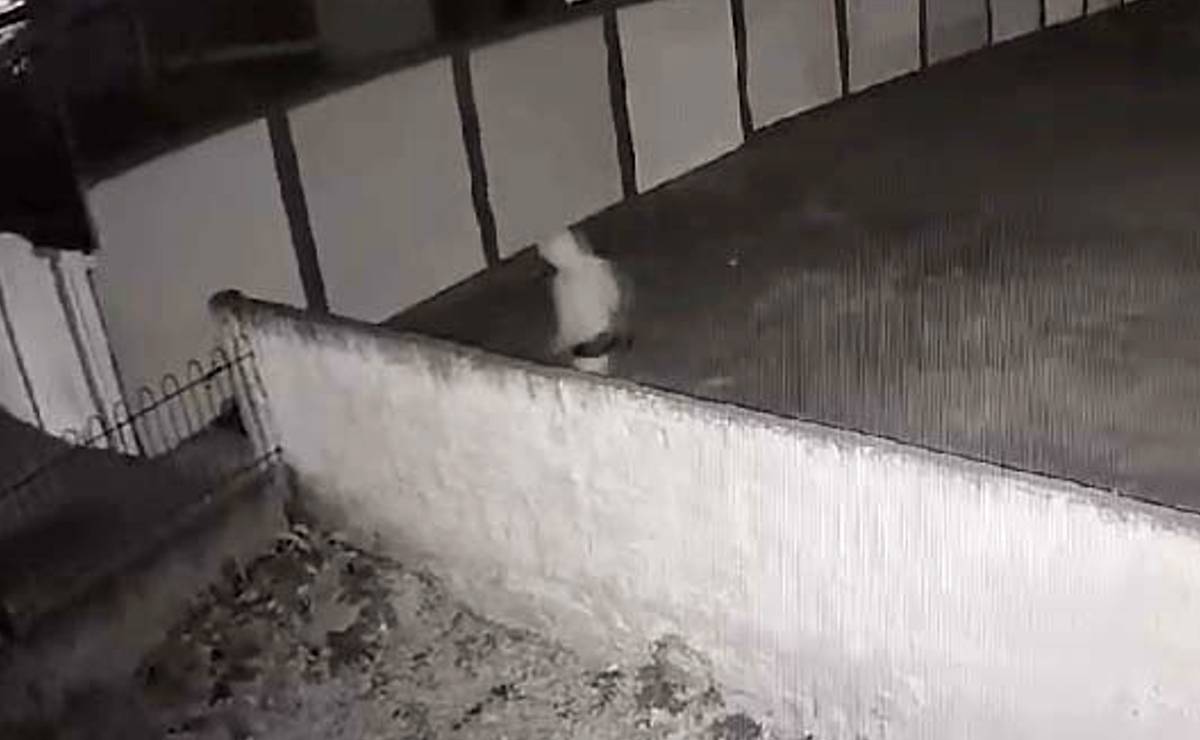 Imagem mostra o homem suspeito de mais de 20 arrombamentos em Cmeis de Curitiba. A imagem é preto e branco e mostra o homem atrás de um muro