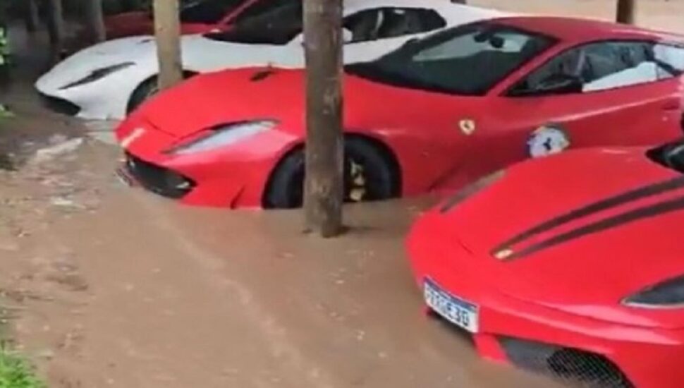 ferraris-santa-catarina