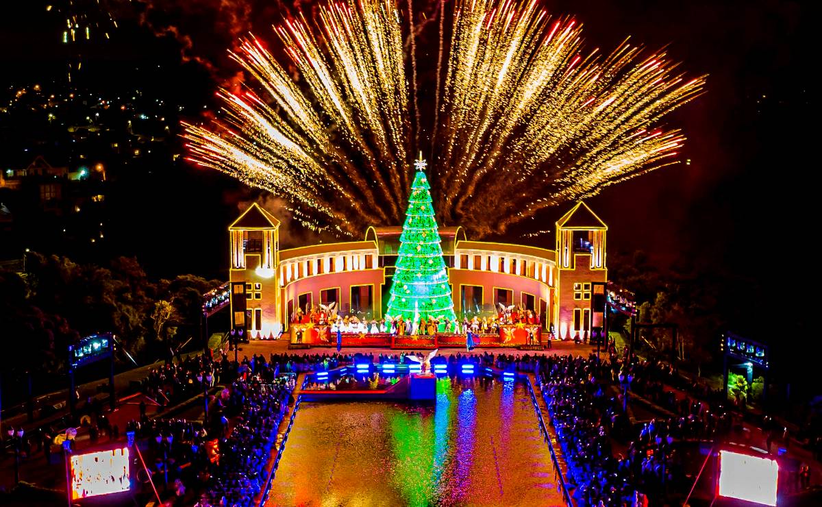 Caminhos de Luz: agendamento para atrações do Natal de Curitiba começa  nesta quinta - Prefeitura de Curitiba
