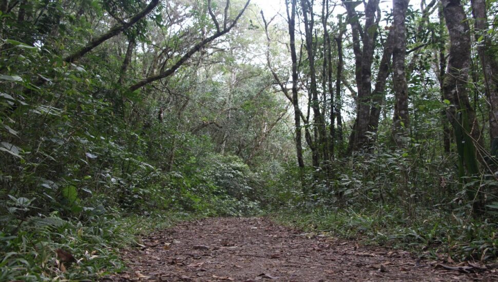 parques-perto-curitiba-fechados