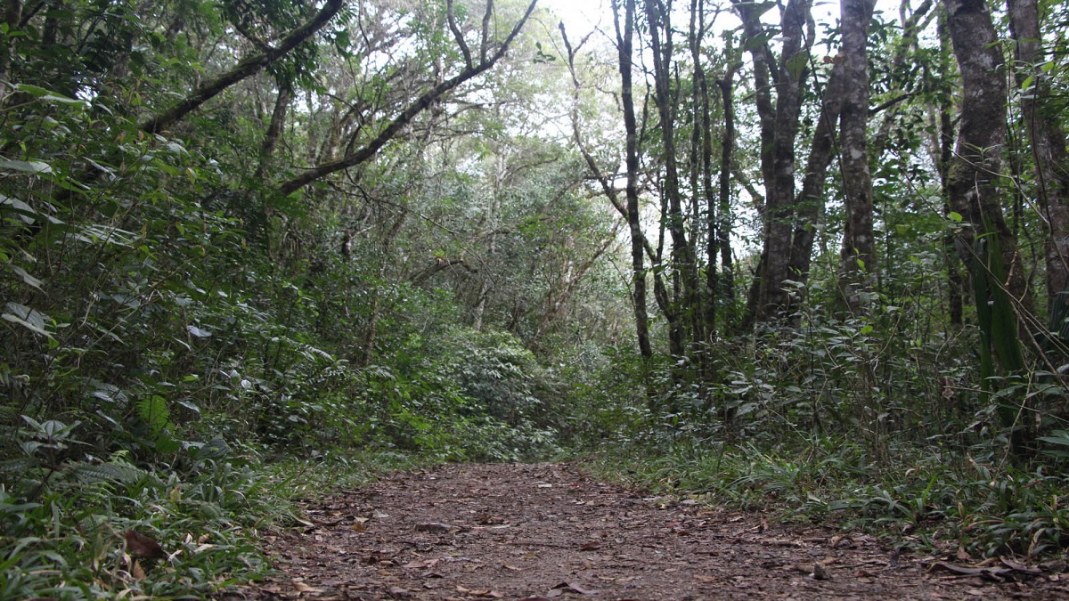 parques-perto-curitiba-fechados