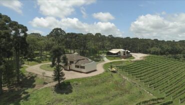 Vinho e turismo: 11 vinícolas para visitar na região de Curitiba
