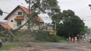 Temporal em Curitiba causa estragos em 21 bairros; Rajadas de vento chegaram aos 29 km/h