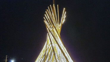 arvore-mairio-tourinho