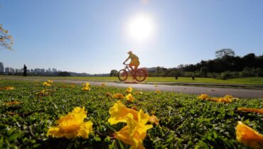 Imagem mostra um ciclista no parque Barigui em Curitiba com um sol forte e céu azul.