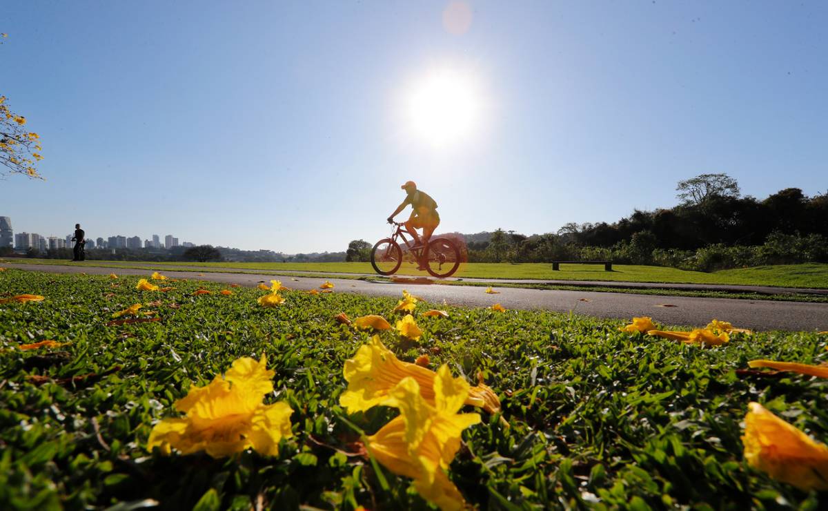Imagem mostra um ciclista no parque Barigui em Curitiba com um sol forte e céu azul.