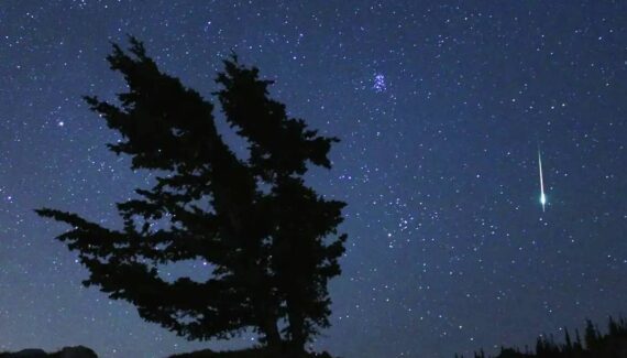 Imagem mostra um meteoro caindo com uma árvore durante uma noite
